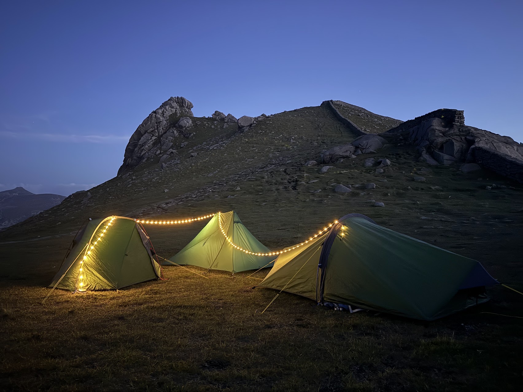 Professional guide leading group